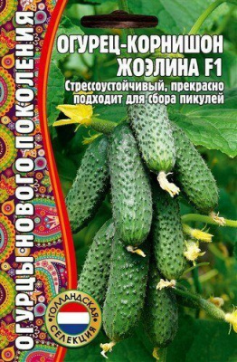 Огурец Жоэлина F1