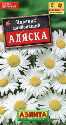 Нивяник наибольший Аляска