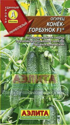 Огурец Конек Горбунок