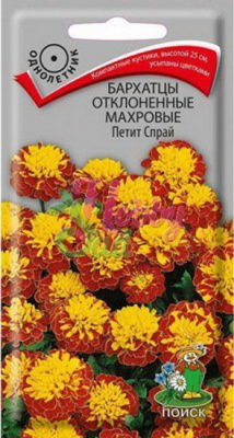 Бархатцы Петит спрай
