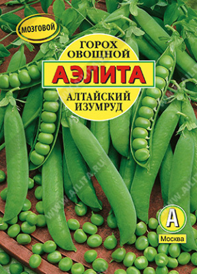 Горох Алтайский изумруд
