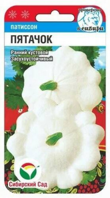 Патиссон ПЯТАЧОК