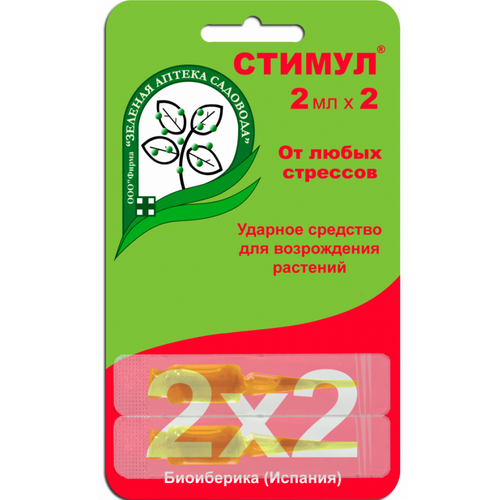 stimul_2х2
