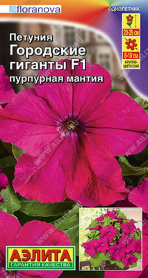 Петуния Городские гиганты пурпурная мантия
