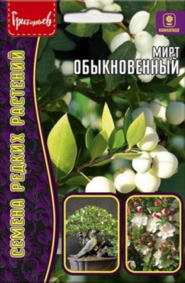 Мирт Обыкновенный