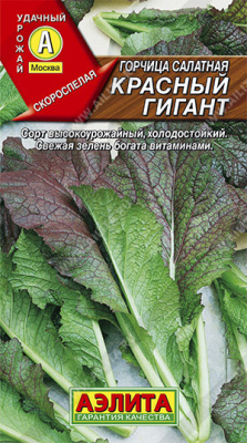 Горчица Красный гигант