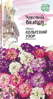Иберис Кельтский узор