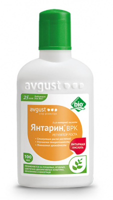 yantarin_100