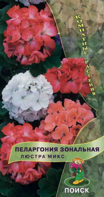 Пеларгония зональная Люстра микс