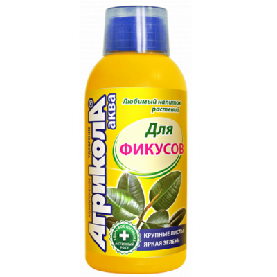 fikus 2240141