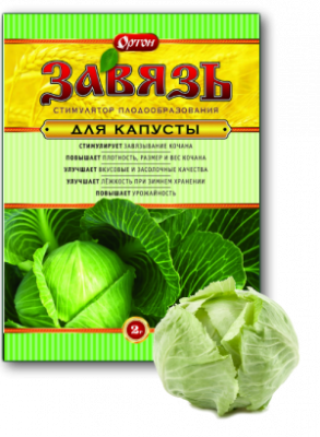 zavayzo kapusta