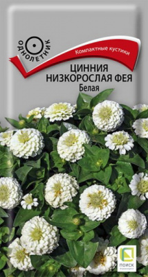 Цинния Фея белая