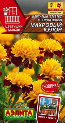 Бархатцы Махровый кулон