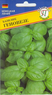 Базилик Геновезе