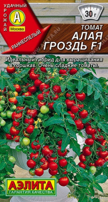 Томат Алая гроздь