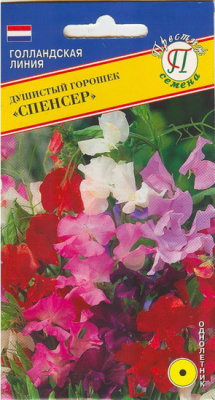 Душистый горошек Спенсер