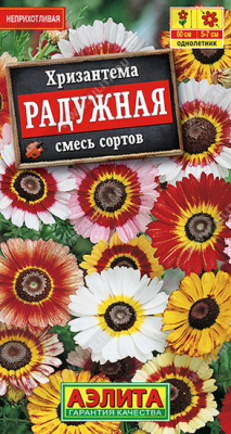 Хризантема Радужная смесь