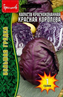 капуста Красная королева