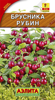 Брусника Рубин