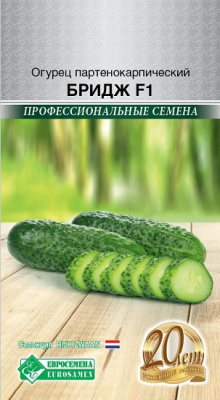 Огурец Бридж