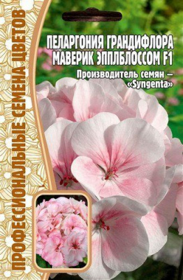 Пеларгония Маверик Эпплблоссом