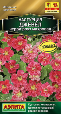 Нвстурция Джевел черри роуз