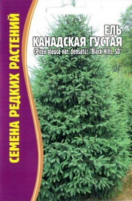 Ель Канадская Густая 10шт.