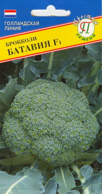 Капуста брокколи Батавия