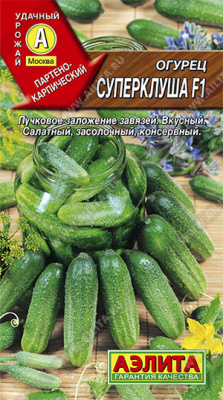 Огурец Суперклуша