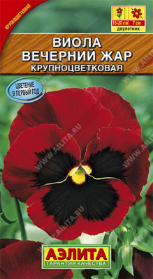 Виола Вечерний Жар