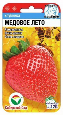 Земляника МЕДОВОЕ ЛЕТО (Сиб Сад)