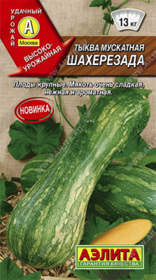 Тыква мускатная Шахерезада
