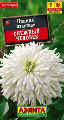 Цинния Снежный человек