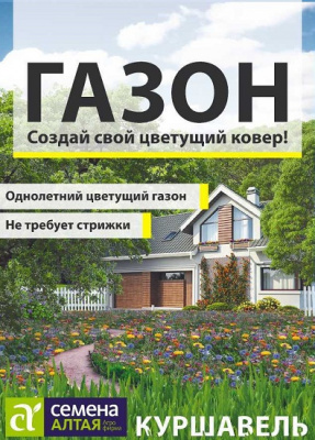 Газонная трава Куршавель