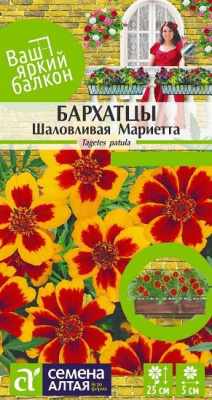 Бархатцы Шаловливая Мариетта