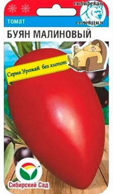Томат Буян малиновый