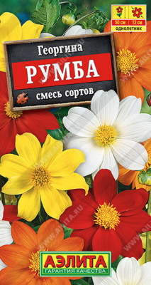 Георгина Румба смесь