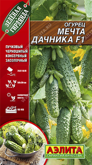 огурец Мечта дачника огурец Мечта дачника