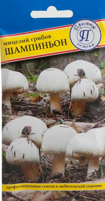 Шампиньон белый