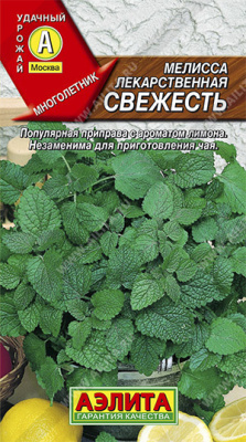 Мелисса лекарственная Свежесть