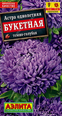 Астра Букетная темно-голубая