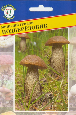 Грибы Мицелий Подберезовик