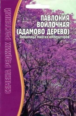 Павлония войлочная