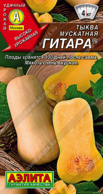 Тыква мускатная Гитара