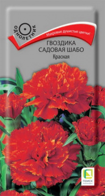 Гвоздика Шабо красная