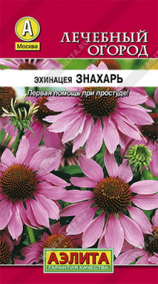 Эхинацея пурпурная Знахарь