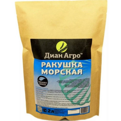 Морская ракушка