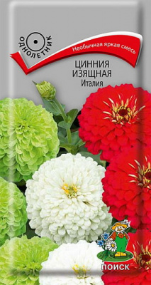 Цинния Италия
