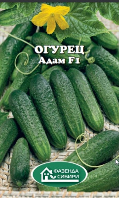 Огурец Адам