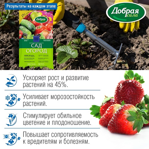 сад-огород